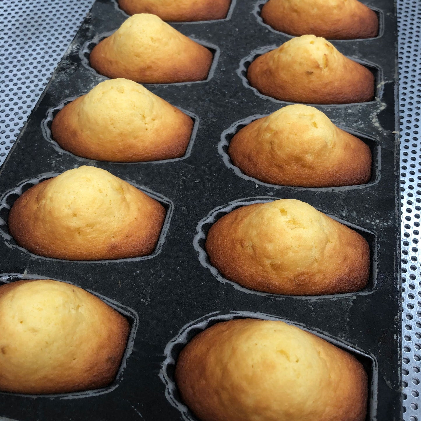 Madeleines x 10 unds